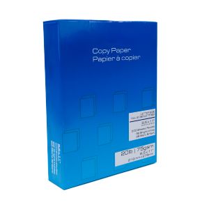 Multi-Use Printer & Copy Paper, 10 Reams, White, Letter (8.5